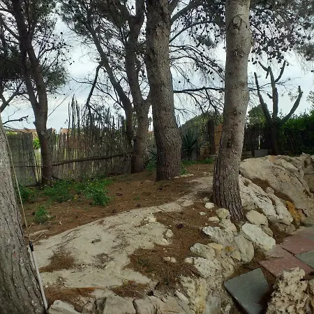 Pineta *